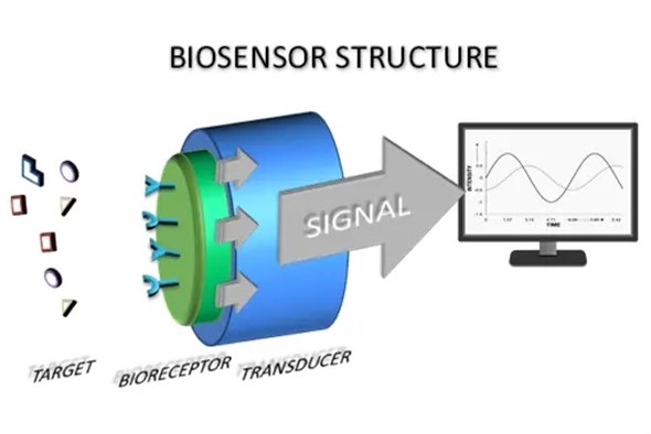 Biosensors Valuable Niche in Medicine